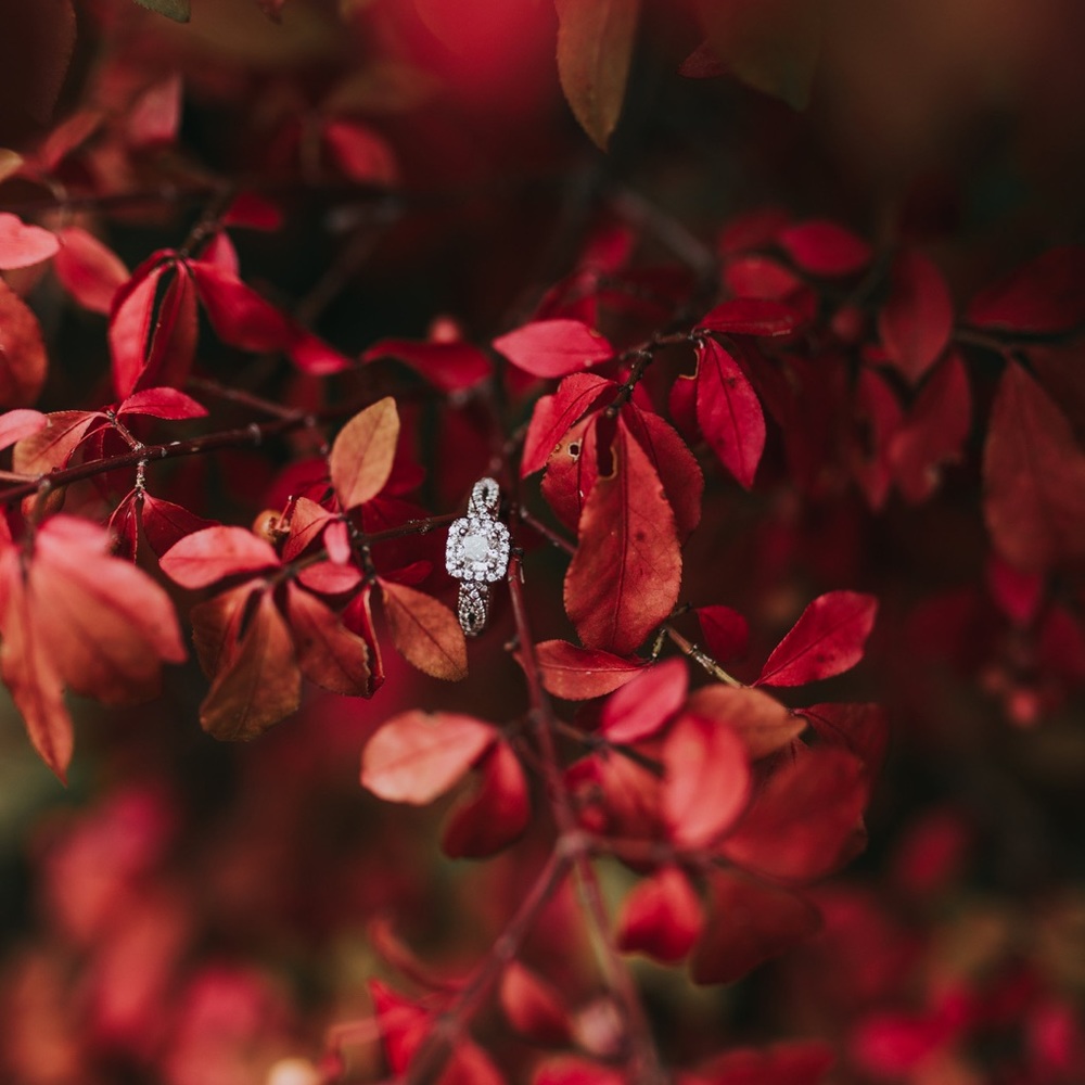 Meet your Posher, Kaira